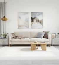 Couchtische 2 Stk. Betongrau 50x50x40 cm Holzwerkstoff