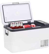 Kühlbox mit Tragegriff Schwarz/Weiß 25L PP & PE
