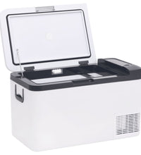 Kühlbox mit Tragegriff Schwarz/Weiß 25L PP & PE