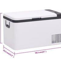 Kühlbox mit Tragegriff Schwarz/Weiß 25L PP & PE