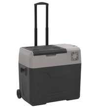 Kühlbox mit Rollen und Griff Schwarz & Grau 40 L Polypropylen
