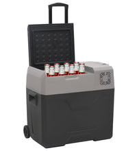 Kühlbox mit Rollen und Griff Schwarz & Grau 40 L Polypropylen