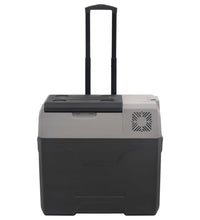 Kühlbox mit Rollen und Griff Schwarz & Grau 40 L Polypropylen