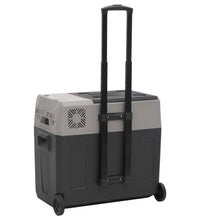 Kühlbox mit Rollen und Griff Schwarz & Grau 40 L Polypropylen