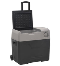 Kühlbox mit Rollen und Griff Schwarz & Grau 40 L Polypropylen