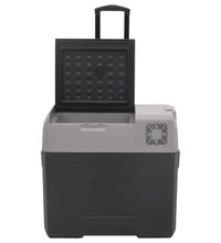 Kühlbox mit Rollen und Griff Schwarz & Grau 40 L Polypropylen