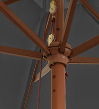 Sonnenschirm mit Holzmast Anthrazit 299x240 cm