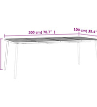 Gartentisch Anthrazit 200x100x71 cm Stahl