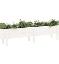 Hochbeet Weiß 160x30x38 cm Massivholz Kiefer