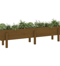 Hochbeet Honigbraun 160x30x38 cm Massivholz Kiefer