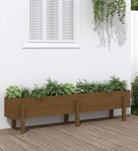 Hochbeet Honigbraun 160x30x38 cm Massivholz Kiefer