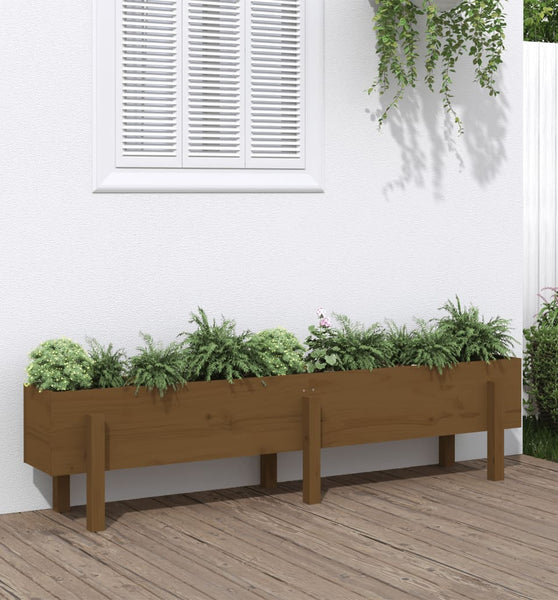 Hochbeet Honigbraun 160x30x38 cm Massivholz Kiefer