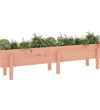 Hochbeet 160x30x38 cm Massivholz Douglasie