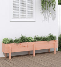 Hochbeet 160x30x38 cm Massivholz Douglasie