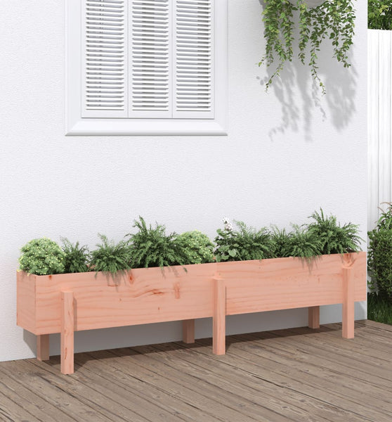 Hochbeet 160x30x38 cm Massivholz Douglasie