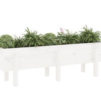 Hochbeet Weiß 121x30x38 cm Massivholz Kiefer