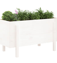 Hochbeet Weiß 101x50x57 cm Massivholz Kiefer