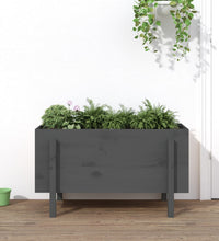 Hochbeet Grau 101x50x57 cm Massivholz Kiefer