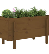 Hochbeet Honigbraun 101x50x57 cm Massivholz Kiefer