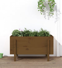Hochbeet Honigbraun 101x50x57 cm Massivholz Kiefer
