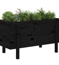 Hochbeet Schwarz 101x50x57 cm Massivholz Kiefer