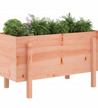 Hochbeet 101x50x57 cm Massivholz Douglasie