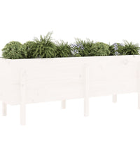 Hochbeet Weiß 160x50x57 cm Massivholz Kiefer