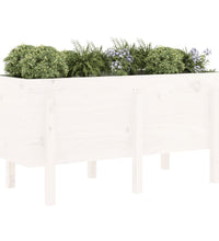 Hochbeet Weiß 121x50x57 cm Massivholz Kiefer