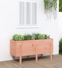 Hochbeet 121x50x57 cm Massivholz Douglasie