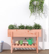 Hochbeet 101x30x69 cm Massivholz Douglasie