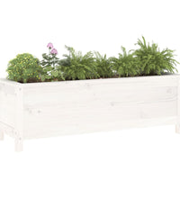 Hochbeet Weiß 119,5x40x39 cm Massivholz Kiefer
