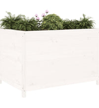Hochbeet Weiß 119,5x82,5x78 cm Massivholz Kiefer