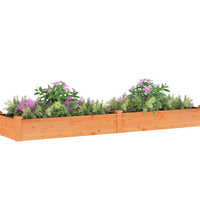 Hochbeet mit Einsatz Braun 240x60x25 cm Massivholz Tanne