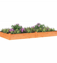 Hochbeet mit Einsatz Braun 240x120x25 cm Massivholz Tanne
