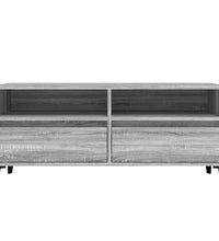 TV-Schrank Grau Sonoma 100x34,5x44,5 cm Holzwerkstoff