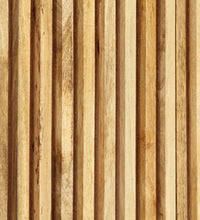 Sideboard mit 2 Türen 55x35x70 cm Massivholz Mango