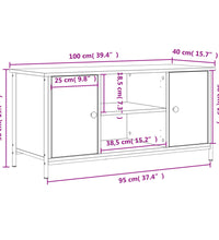 TV-Schrank Grau Sonoma 100x40x50 cm Holzwerkstoff