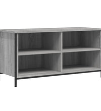 TV-Schrank Grau Sonoma 100x40x50 cm Holzwerkstoff