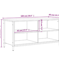 TV-Schrank Grau Sonoma 100x40x50 cm Holzwerkstoff