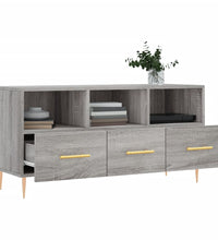 TV-Schrank Grau Sonoma 102x36x50 cm Holzwerkstoff