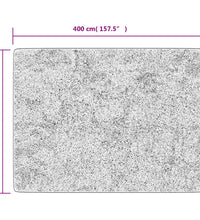 Teppich Waschbar Anthrazit 400x300 cm Rutschfest