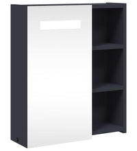 Spiegelschrank mit LED-Beleuchtung Grau 45x13x52 cm