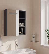 Spiegelschrank mit LED-Beleuchtung Grau 45x13x52 cm
