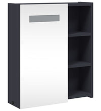 Spiegelschrank mit LED-Beleuchtung Grau 45x13x52 cm