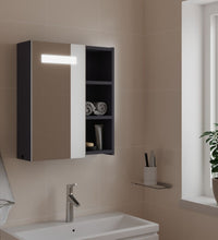 Spiegelschrank mit LED-Beleuchtung Grau 45x13x52 cm