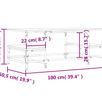 Couchtisch Grau Sonoma 100x50,5x40 cm Holzwerkstoff