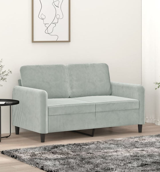 2-Sitzer-Sofa Hellgrau 120 cm Samt