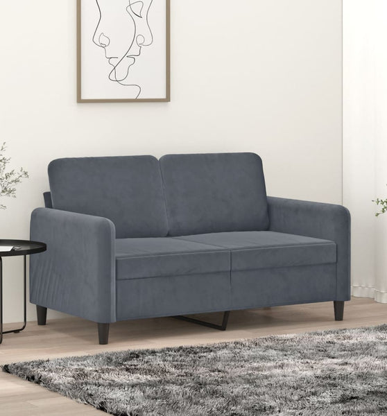 2-Sitzer-Sofa Dunkelgrau 120 cm Samt