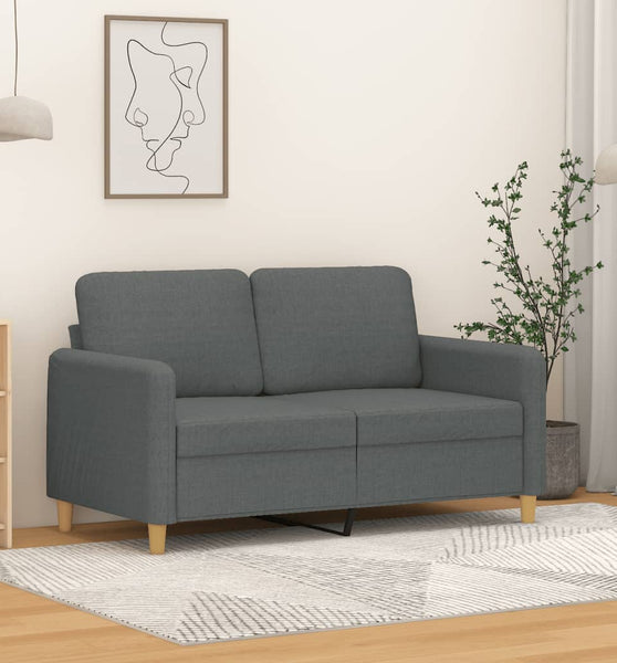 2-Sitzer-Sofa Dunkelgrau 120 cm Stoff