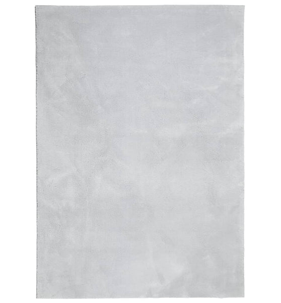 Teppich HUARTE Kurzflor Weich und Waschbar Grau 200x280 cm